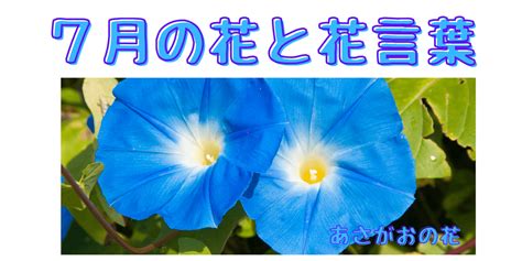 七月 季節|【7月の季語一覧】読み方・意味や表す状況がすぐに。